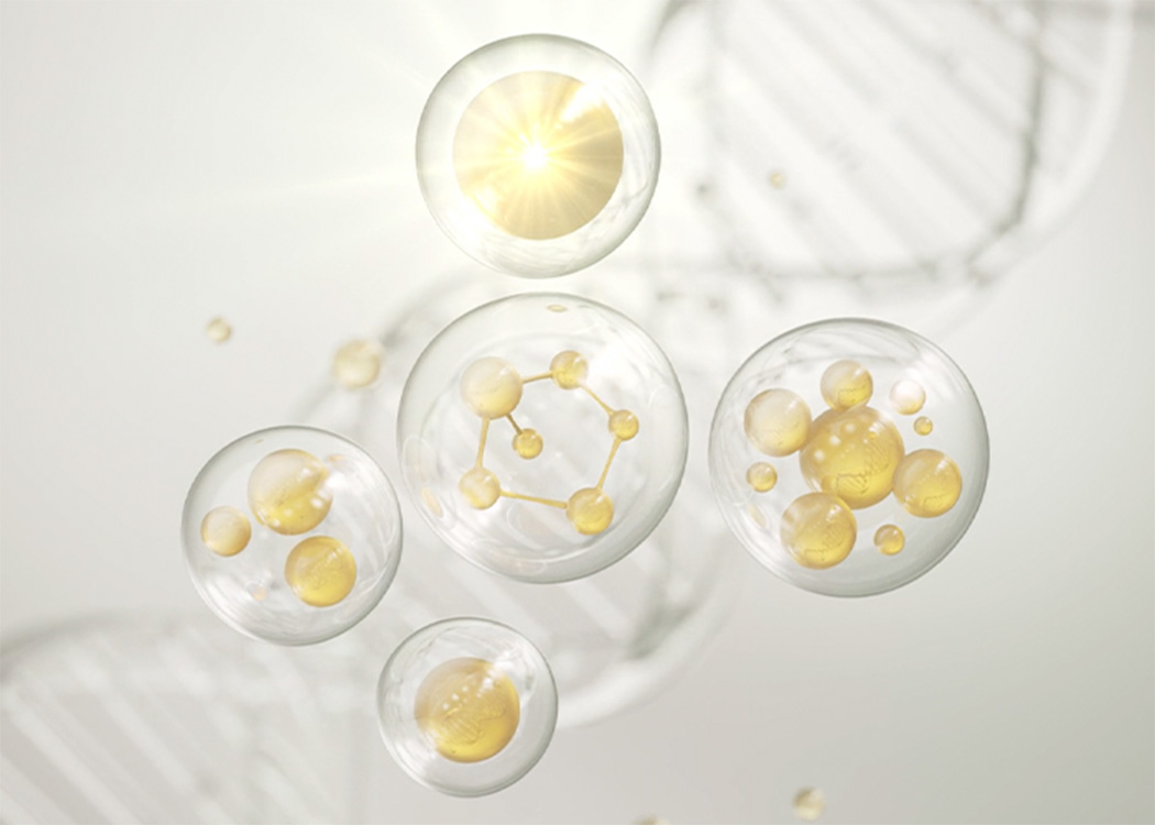 Fresh stem cell therapy